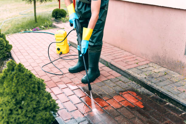 Best Pressure Washing Siding  in Waynesville, OH